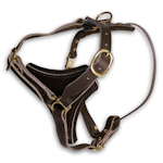 Walking leather harness
